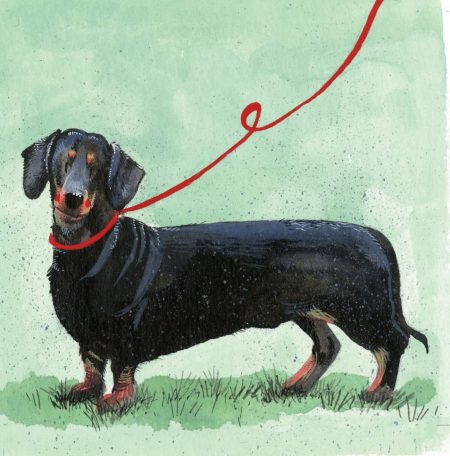 Dachshund (sausage dog) - Alex Clark card