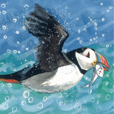 Puffin - Alex Clark card