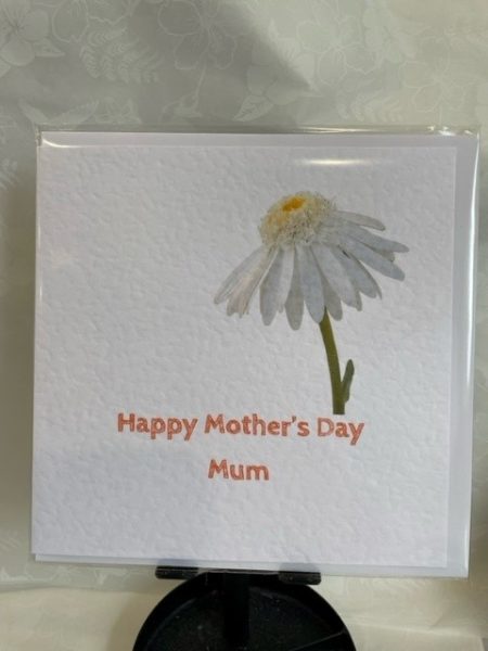 Happy Mother's Day Mum (Daisy) - Little Green Frog card