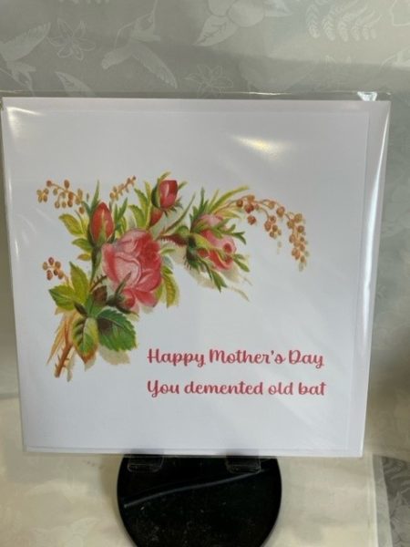 Happy Mother's Day, you demented old bat - Little Green Frog card